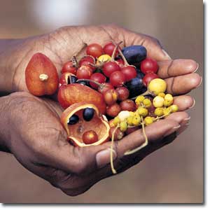 hands our hands, our relationship with food