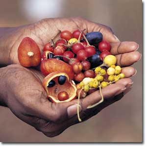 our hands, our relationship with food