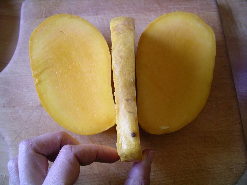 Mango: Elephant Ears