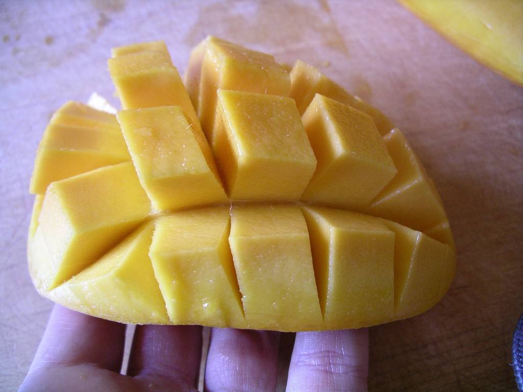 porcupine mango