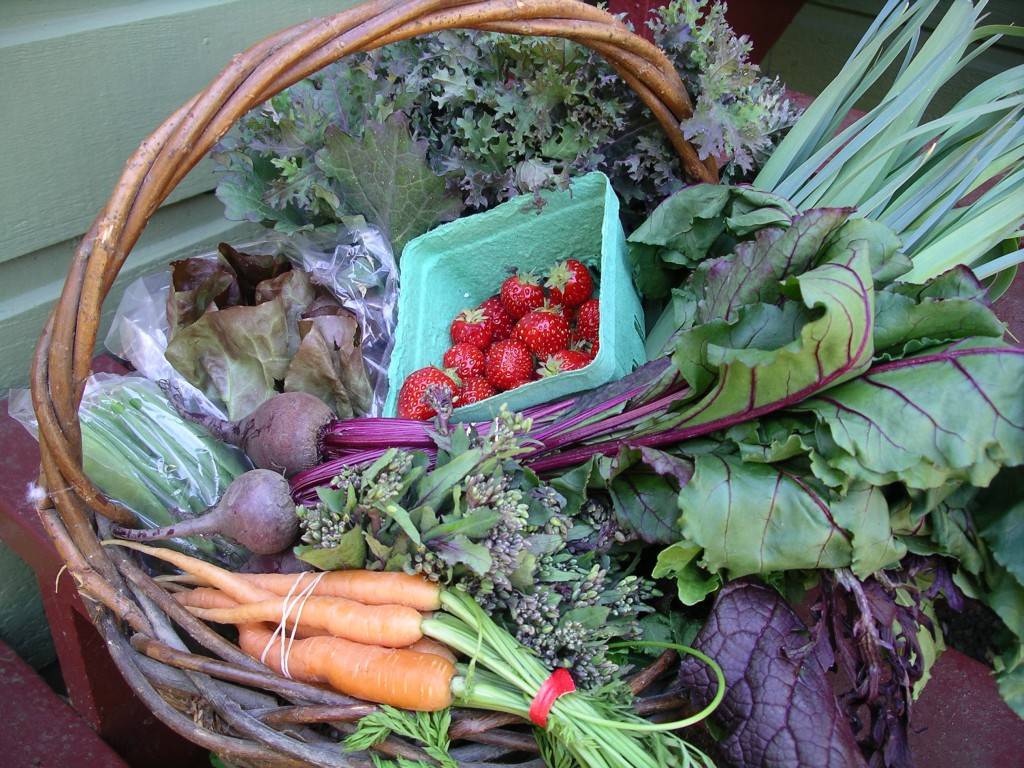 Farm Box Produce