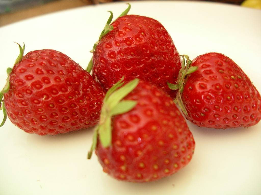 ripe strawberry perfection