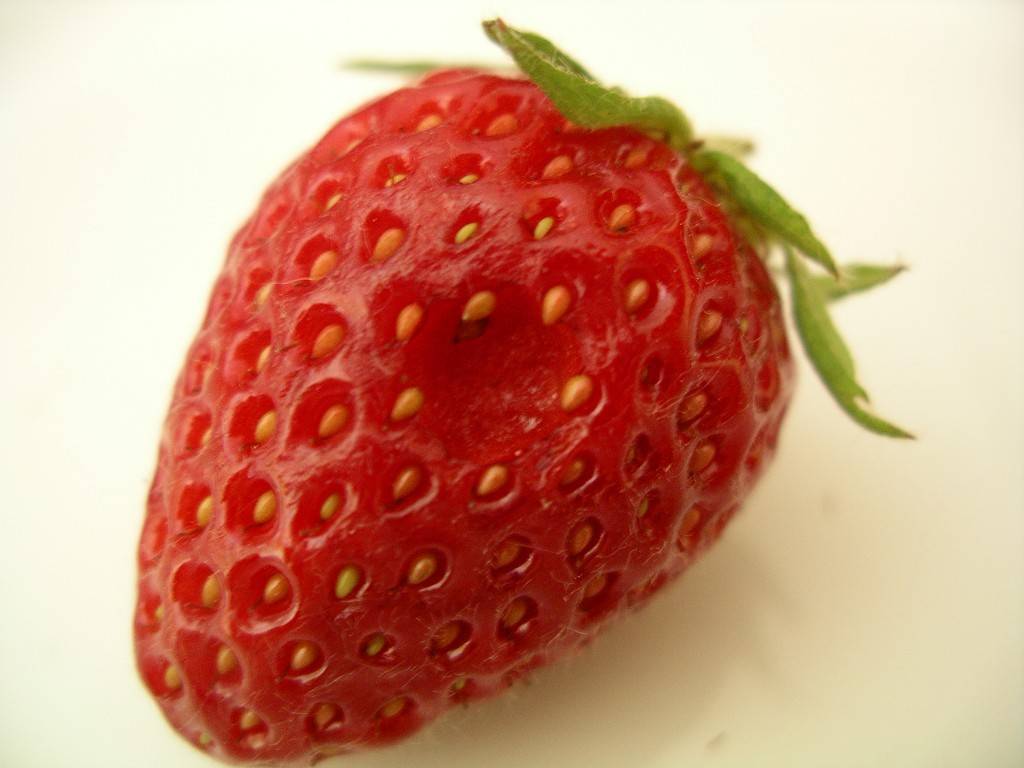 berry with bug hole