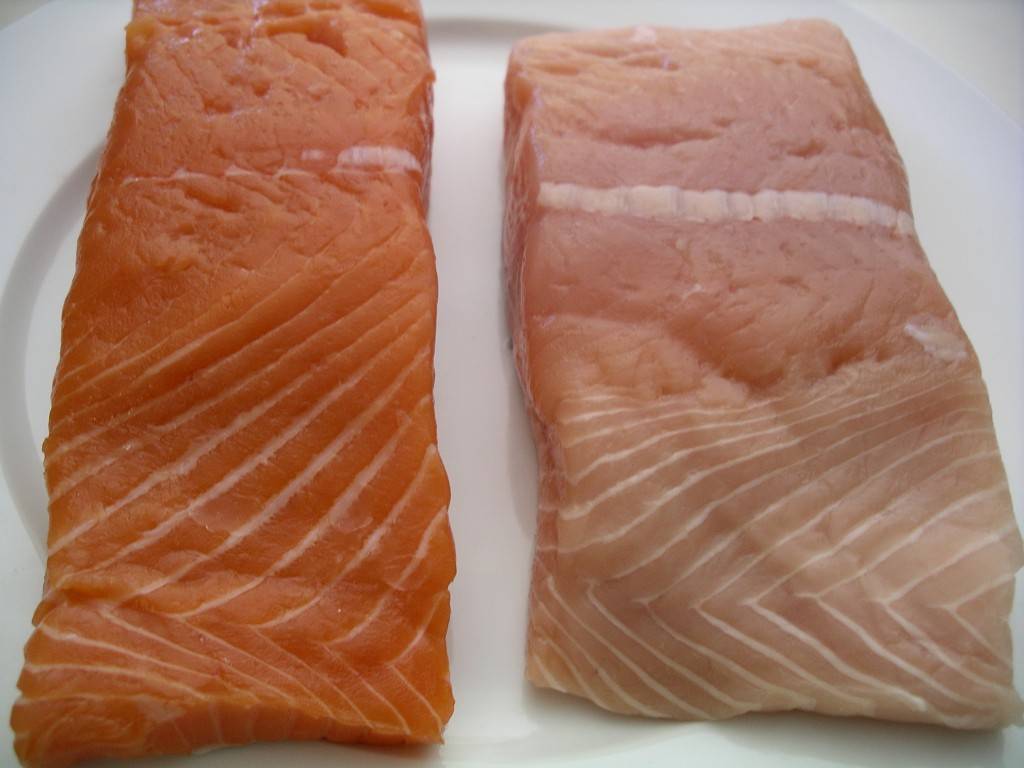 Wild Pacific Salmon