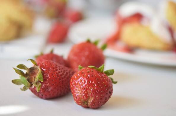 close up of local strawberries with shortcake in the background