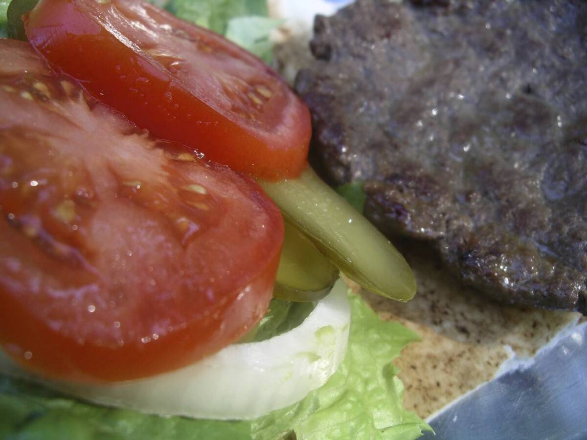 bison burger close up