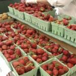 strawberries at the market