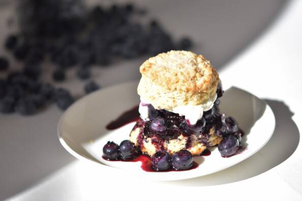 Blueberry shortcake on a white plate in a beam of sunlight