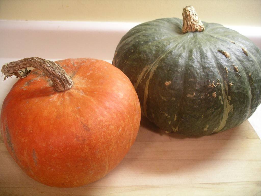 Turban family squashes