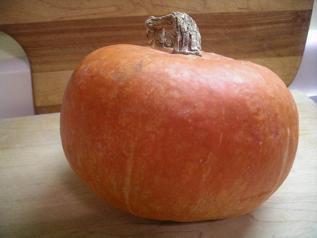 Ambercup squash - the best there is