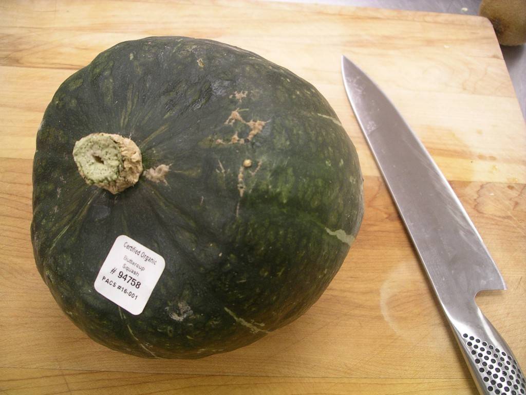 squash ready to cut