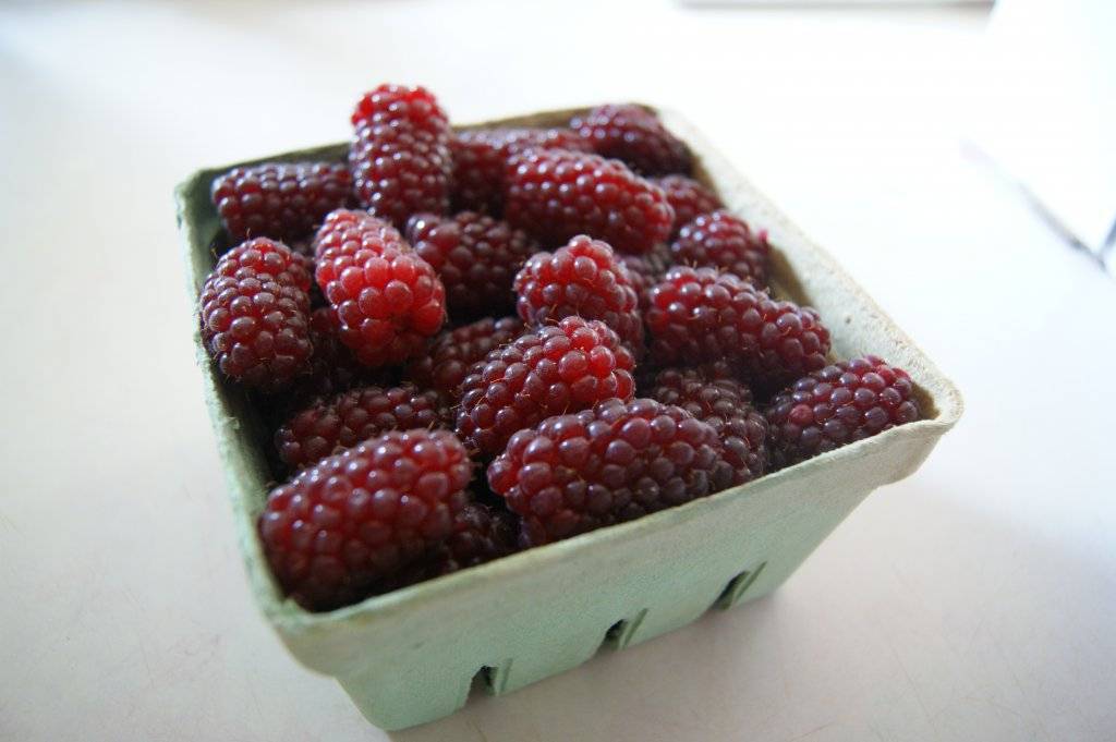Tayberry deals
