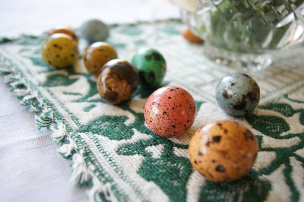 close up of dyed quail eggs in various colours on a white & green placemat