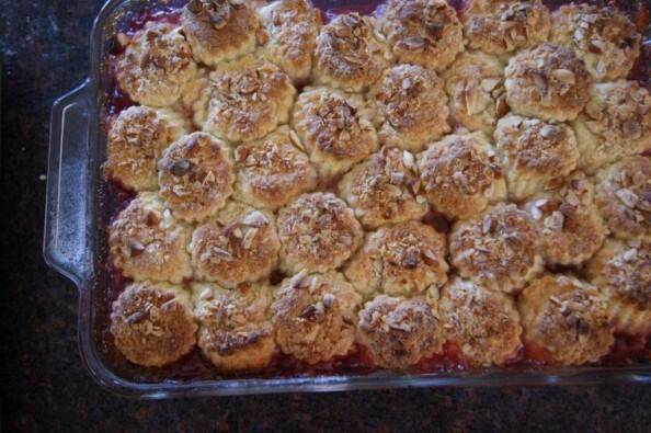 Sour Cherry Cobbler