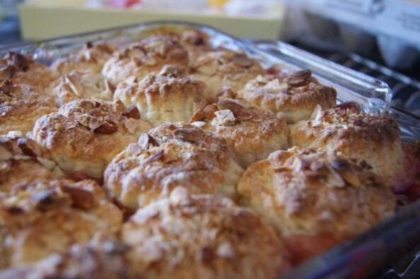 delicious sour cherry cobbler