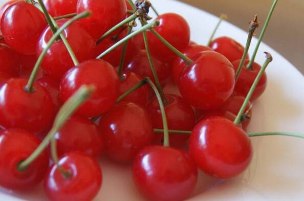 Montmorency cherries