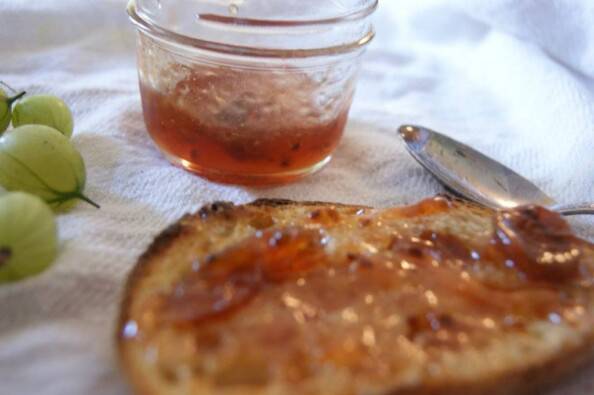 spiced gooseberry sandwich