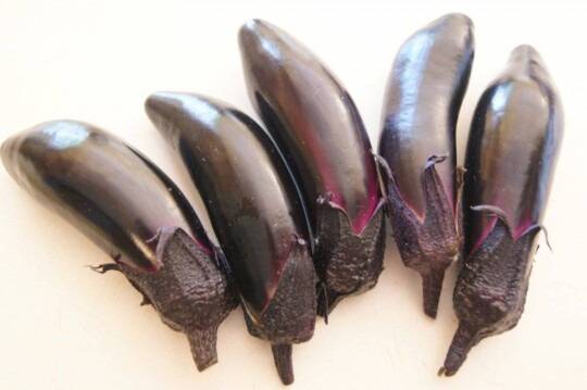 local Umi Nami eggplants