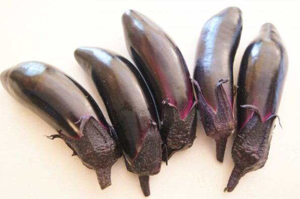 Chinese eggplant