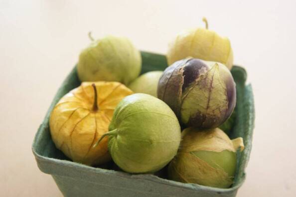 Variety of Tomatillos