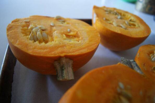 Cut Sugar Pumpkins