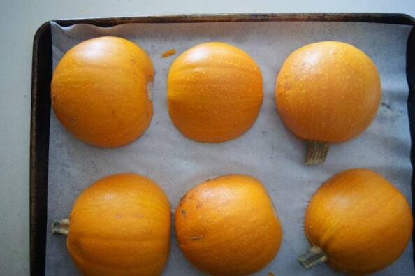 Sugar Pumpkins Cut Side Down