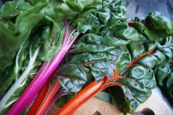 Rainbow Chard