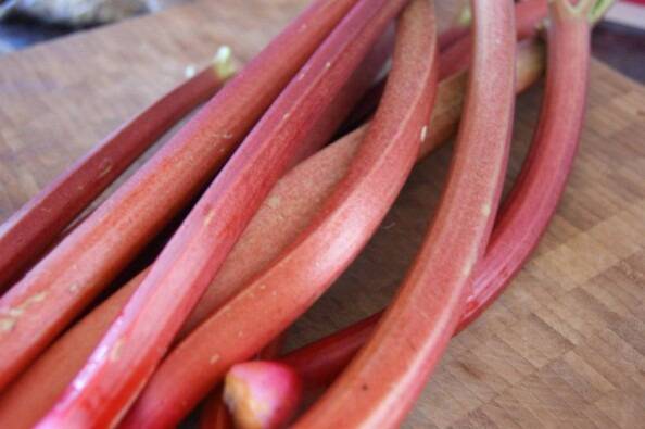 Stalks of Red Rhubarb