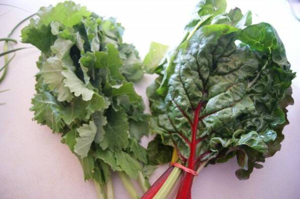 Bundles of kale and Chard 