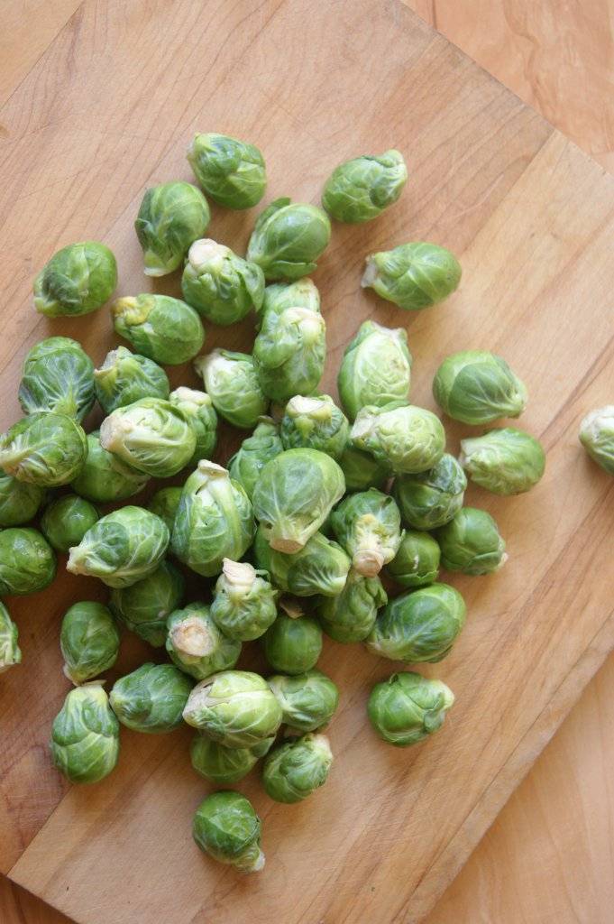 fresh local Brussels sprouts