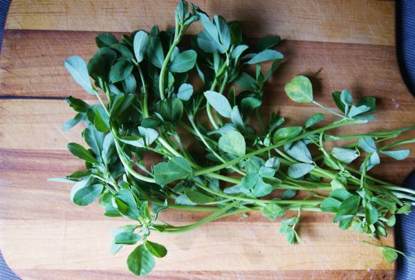 fenugreek leaves