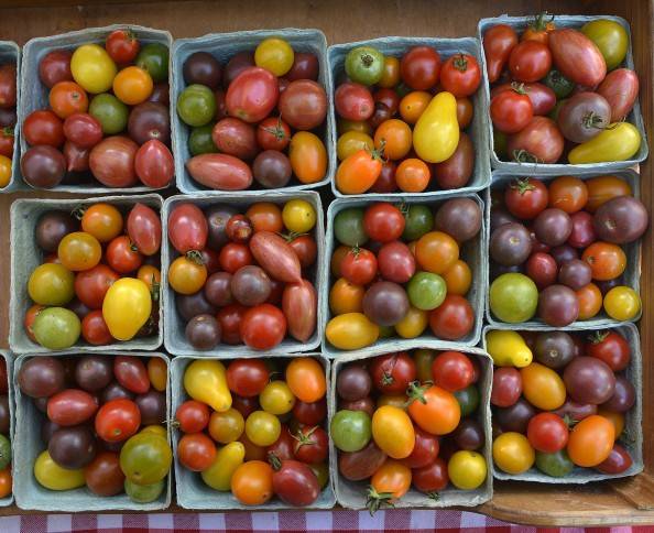 overhead view of farm market cherry tomatoes