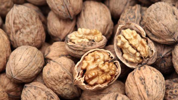 walnuts