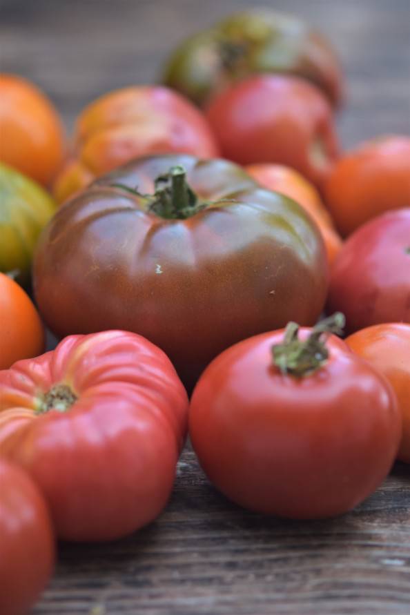 heirloom tomatoes