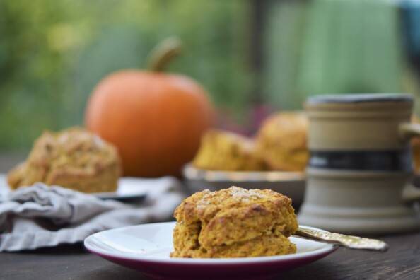 Pumpkin scone on a small white plate, with a large tray of scones and a mug of tea in the background