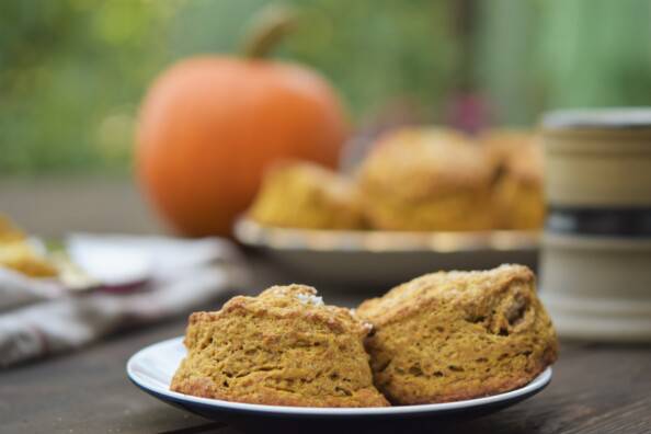 two pumpkin spice scones on a plate with a pumpkin, a platter of scones, and a mug of tea in the background