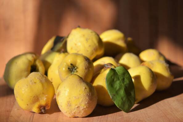 A pile of fresh quince on a cutting board with sunlight