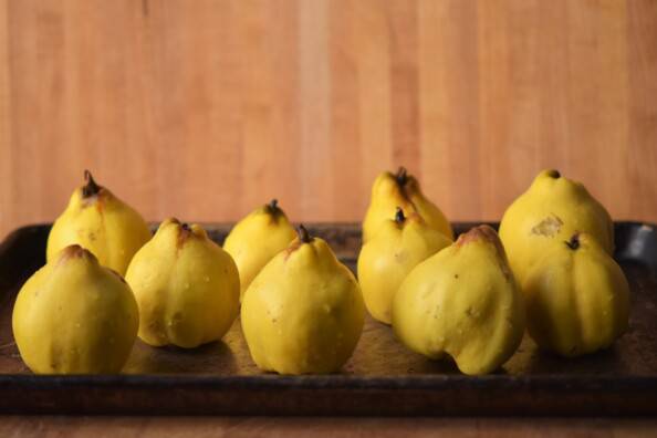 fresh quince arranged on a baking sheet